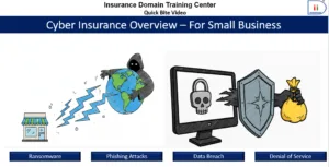 Cyber Insurance Overview