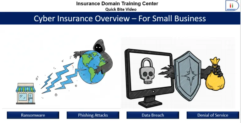 Cyber Insurance Overview